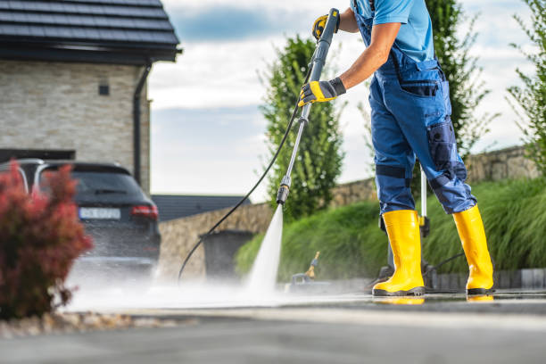 Best Fence Cleaning  in Green Oaks, IL